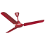 pQRC0P_1677735395-XALBRIZ48BRNWOR.png